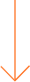 designlau
